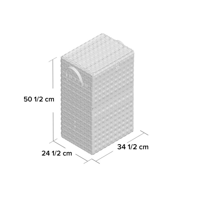 Plastic Laundry Hamper with Handles