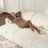 Wall-Hugger Chenille Sofa Sleeper with Motorlized Slide-Out Bed and Storage Chaise