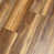 Golden Moab Pine
