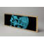 Gibbs X-Ray Photography Print-1513008518-1513008523