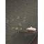 Papier peint Lotus Weave Moss-718158724