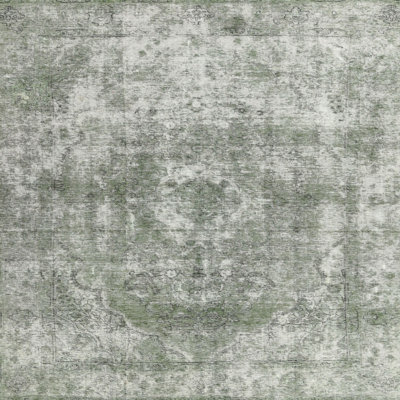 Oriental Indoor Rug