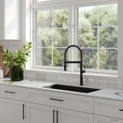 Modern Faucet Stylish Capri One-Handle Stainless Steel with Spout Hose Pull Out Dual Mode Kitchen Sink Faucet