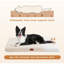 Pet Bed