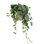 Ringold Faux Ivy Plant in Ceramic Pot