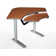 Armstrong Trapezoid Height Adjustable 59'' L Training Table with Modesty Panel