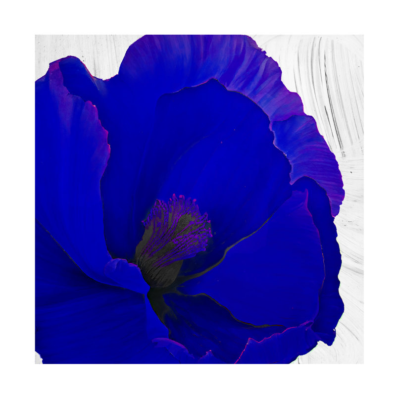Art sur toile Sasha Cobalt, H 14 po x l 14 po