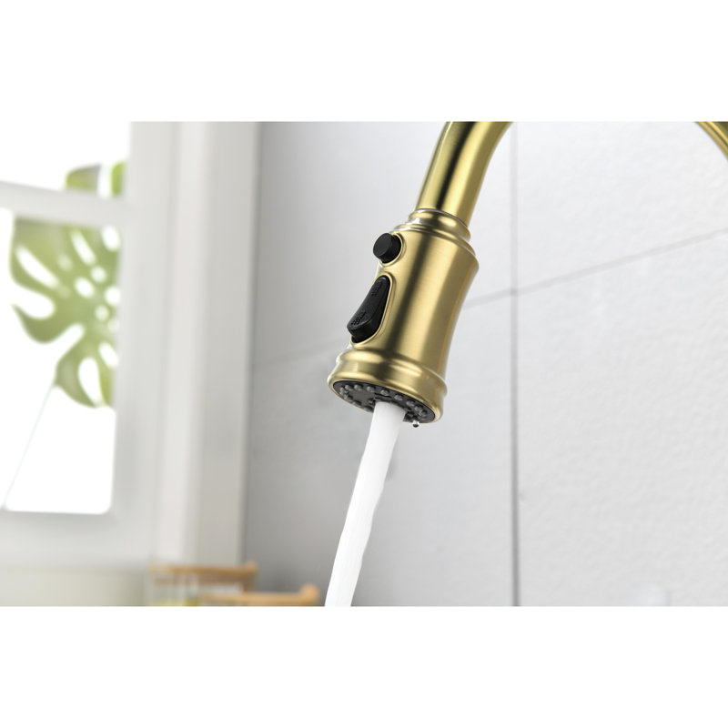 Robinet de cuisine à poignée simple en acier inoxydable doré brossé avec surface corrosive, robinet de 5 lb avec douchette rétractable pour un accès pratique à l'eau