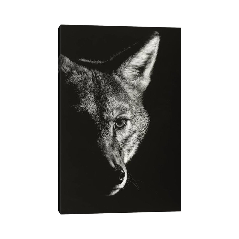 Black Glimpse VI by Julie T. Chapman - Wrapped Canvas Print, 66.04 cm H x 45.72 cm W x 3.175 cm D