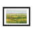 Black Framed Fine Art Paper n'est pas disponible