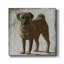 Toile tendue avec châssis Pug-Premium - prête à être accrochée