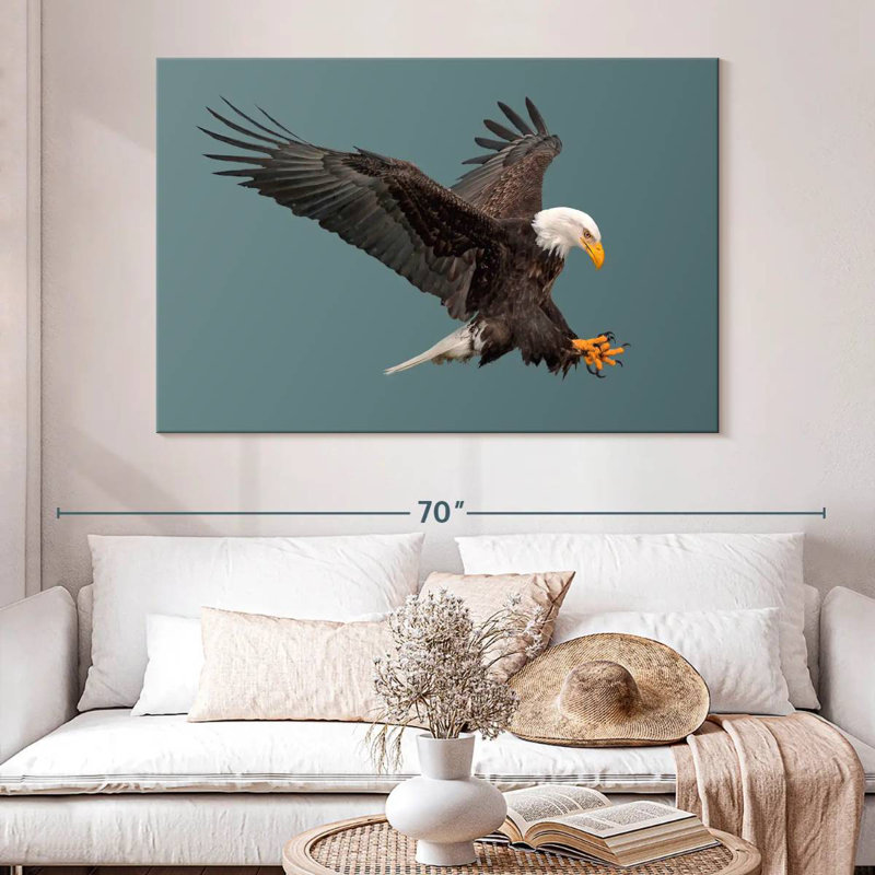 Brampt Predator Bald Eagle, 24" H x 36" W