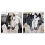 «Kintsugi Horses Duet», ensemble de décorations murales Boho par Art Remedy, prêt à accrocher, 40 x 40-129610401-129610407