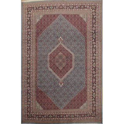 Classic Traditional Oriental Large Rug 12x18