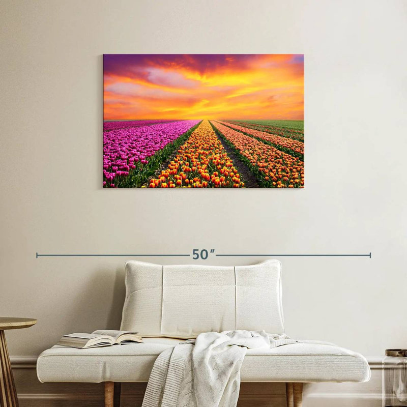 Rangées de tulipes vibrantes, H 24 po x l 36 po