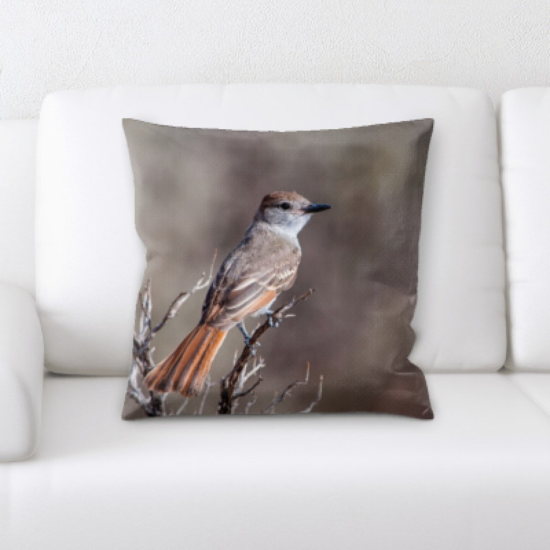 Coussin oiseau