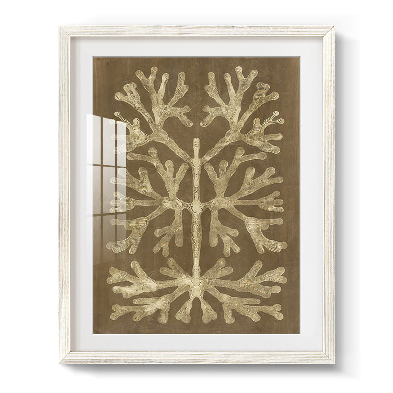 Printed Umber Curiosities I -Framed Print, 28.5" H x 20.5" W, White
