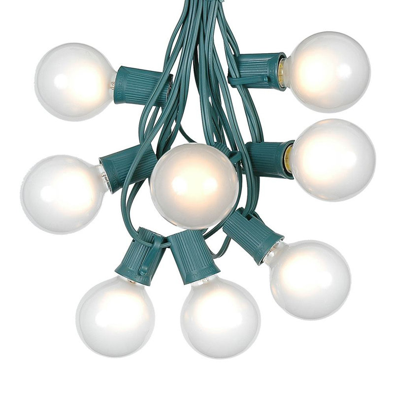 Outdoor 25 - Bulb 25'' Plug-in Globe String Light, Frosted White, Green