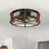 Karlena 18.9" Dimmable LED Ceiling Fan with Light and Remote Control