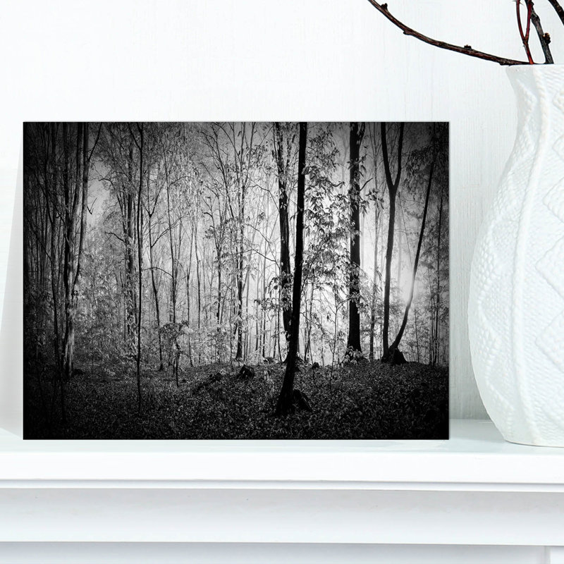 «Beautiful Forest Morning Panorama», reproduction, H 8 po x l 12 po, Toile tendue