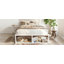 Structure de très grand lit avec tiroirs de rangement, lit plateforme sans tête de lit, design adapté aux animaux de compagnie, aucun sommier tapissier requis, style minimaliste moderne - blanc-1396307111