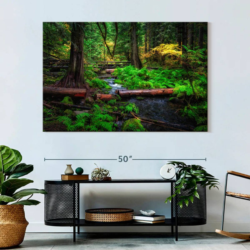 Ruisseau Alvord Willamette National Forest, H 34 po x l 51 po