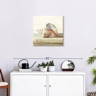 Aletra Driftwood Shell IV