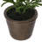 Arnoldo 9" Gourd Glass Container-1445211505