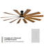 Ventilateur de plafond à 12 pales avec contrôle mural et trousse d'éclairage à DEL Windflower de Windflower-32650338-32650336
