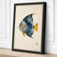 Blue Fish with Gold Japandi - Wrapped Canvas-1251548068-1251548088