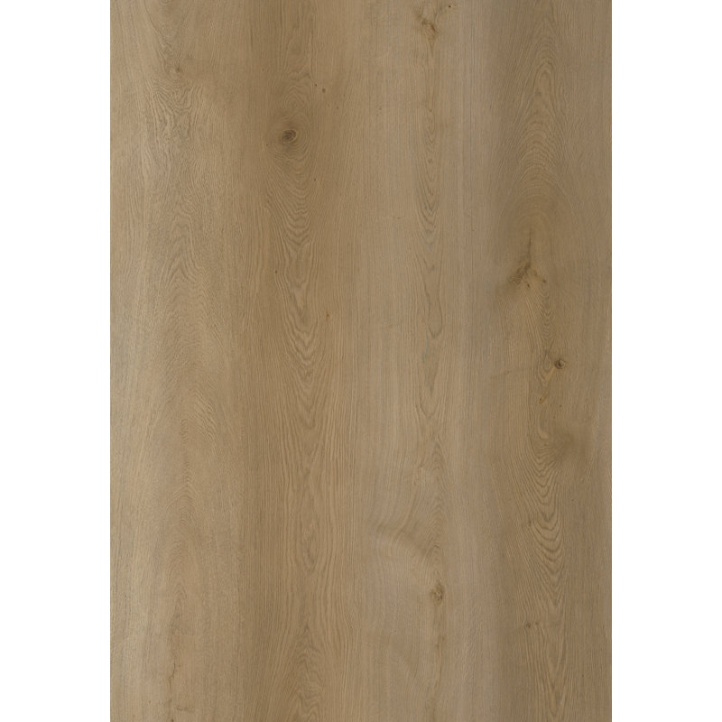 Revêtement de sol SPC de luxe CITADEL 8 mm 32 mil 9 po x 48 po avec système de verrouillage par clic - Chêne Talin