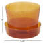 Callio Glass Pot with Saucer-1130474168