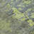 Elon Green Washable Indoor-Outdoor Rug - LOOMLAN-1225660971