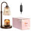 Lampe chauffe-bougie dorée avec minuterie, chauffe-bougie à intensité variable pour bougies en pot, chauffe-cire réglable en hauteur, cadeau d'anniversaire pour femme ou maman, cadeau de pendaison de crémaillère, décoration pour une nouvelle maison-244474473