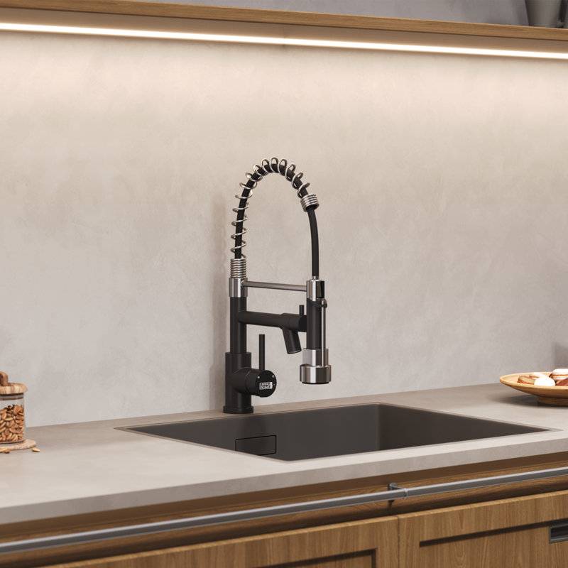 Belfry Kitchen Pull Out Kitchen Faucet