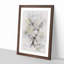 Resting Deer - Picture Frame Painting Print-56853476-56853478