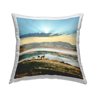 Outdoor Throw Pillow