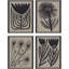 Simple Florals S/4 Print by Watts