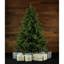 Arbre de Noël artificiel pin avec pied 12 pi Fraser Hill Farm-1962207572-1955791143