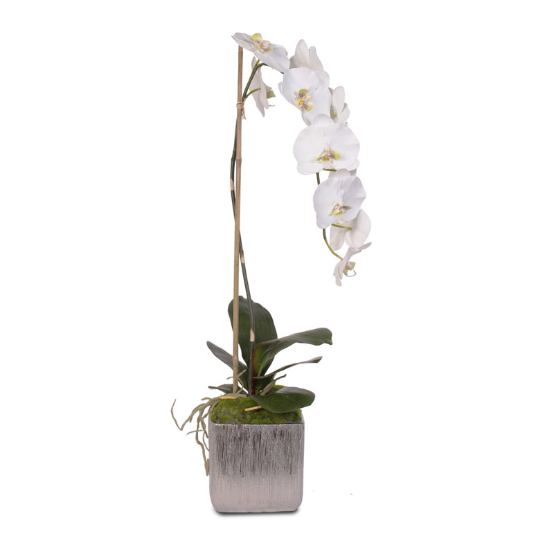 Real Touch Silk Phalaenopsis Orchid Floral Arrangement in Pot
