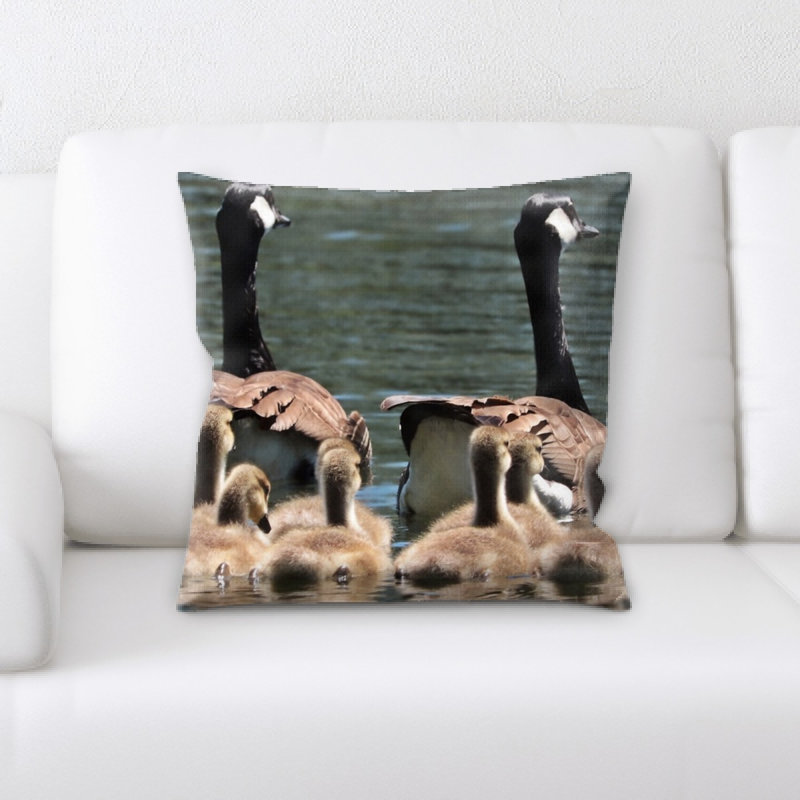Coussin en oies