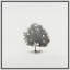 Essential Growth 3 Print by Art House Studios