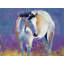 As The Sun Sets Print by Dara Daniel-64401710-132500797