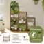 Caelix Plant Stand
