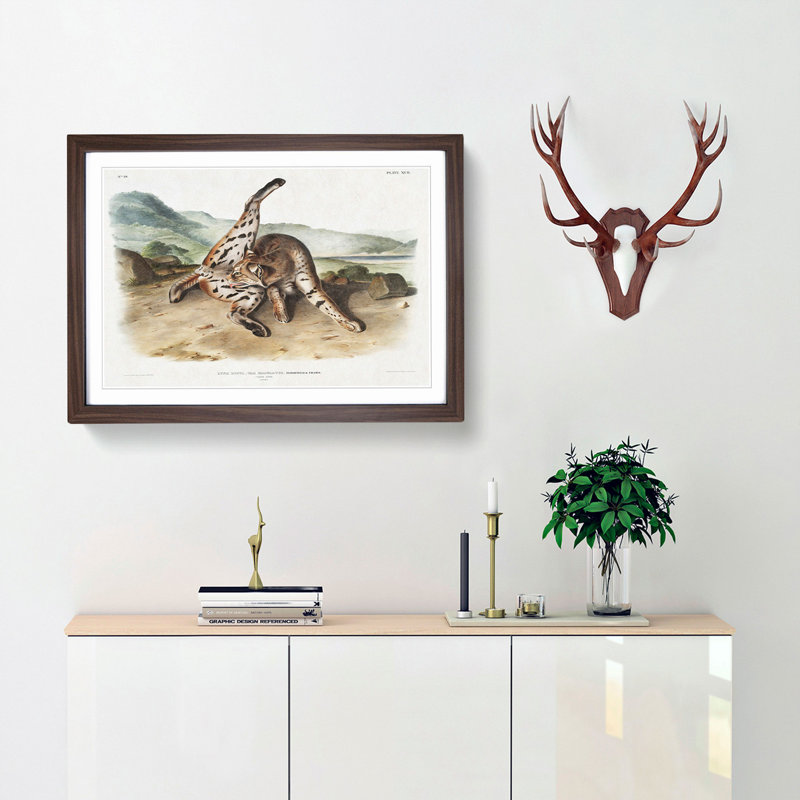Texan Lynx by J.W. Audubon - Picture Frame Art Print, 27cm H x 36cm W x 2cm D, Walnut Framed