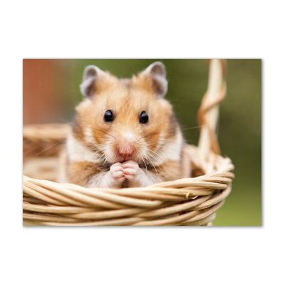 Hamster In The Basket - Wrapped Canvas Print