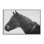 «Draisma Winter Herd Portrait», estampe numérique, conception par Amy Carroll