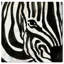Art moderne sur toile Wynwood Studio-1351925319