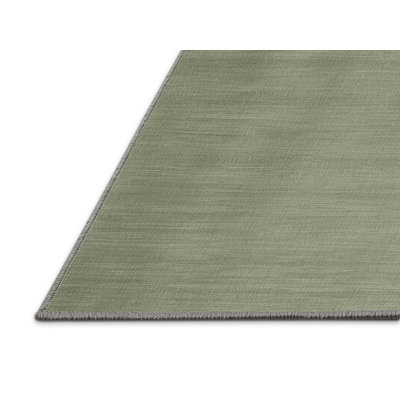 Machine Washable Solid Brown Area Rug