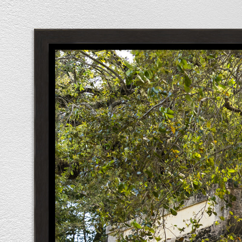 Eden Print by Adam Mowery, 25.75" H x 37.75" W, Image Brush Gel